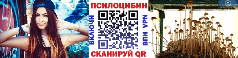 Галлюциногенные грибы Magic Shrooms  Сясьстрой 